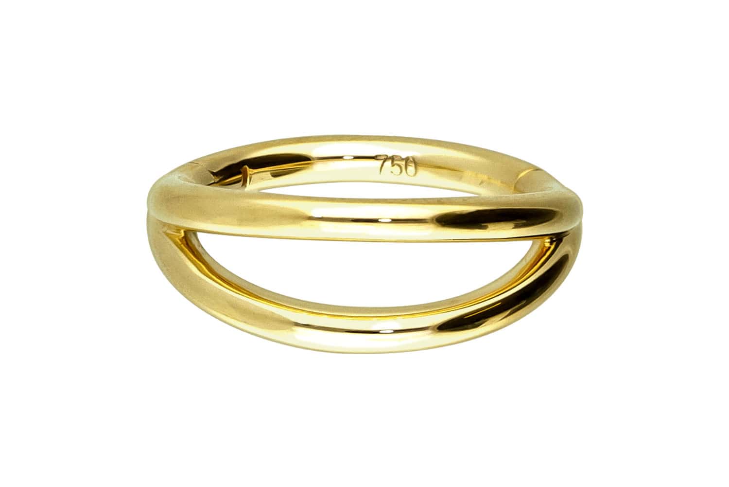 18 Karat Gold Segmentring Clicker Piercing 2 RINGE